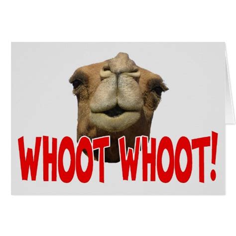 Hump Day Camel Whoot Whoot Greeting Card Zazzle