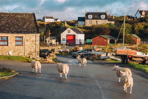 Isle Of Coll Theres Something Special About This Island The Chaotic