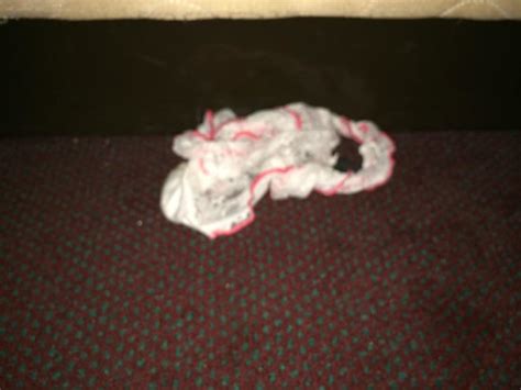 Dirty Panties Under The Bed Picture Of Days Inn Raleigh South Raleigh Tripadvisor