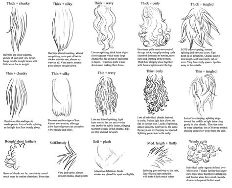 Tips For Drawing Different Hair And Fur Types By Deskleaves On