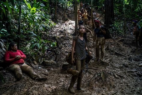 Más de 40 mil niños han cruzado este año la selva del Darién Qué Pasa