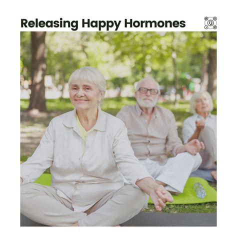 releasing happy hormones album by japanese relaxation and meditation spotify