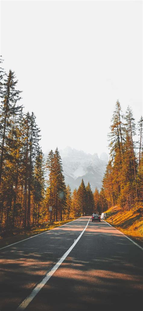 Download Aesthetic Autumn Road Outside Background