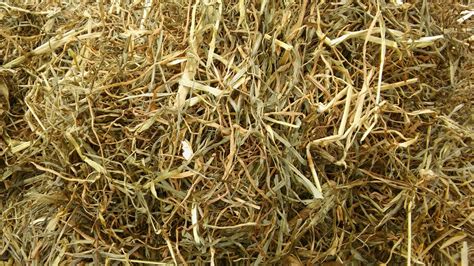 Medium Bale Haylage Meadow Grass