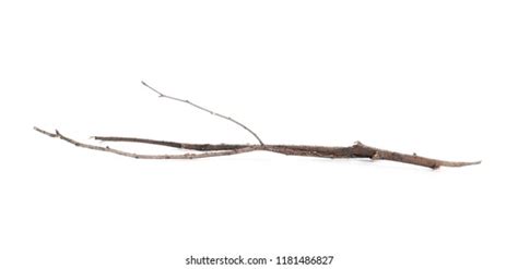 Dry Rotten Branch Isolated On White Stock Photo 1181486827 Shutterstock