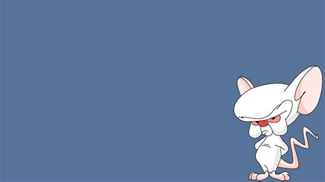 Download Tv Show Pinky And The Brain Hd Wallpaper