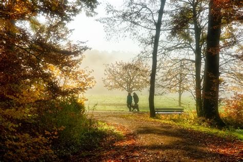 Spaziergang Zu Dritt Foto And Bild Wald Natur Herbst Bilder Auf