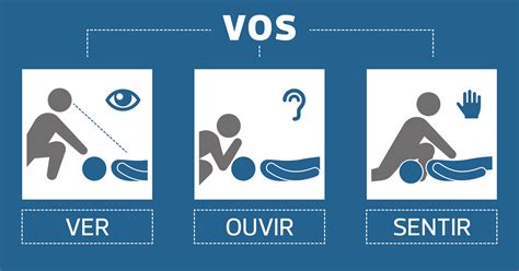 Suporte Básico De Vida Aejsr Idanha A Nova