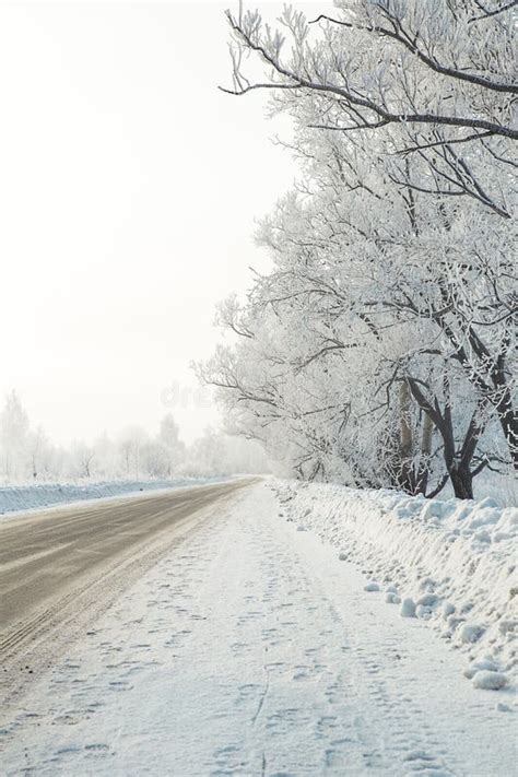 Frozen Trees And Snowy Land Road At Winter Stock Photo Image Of Cold