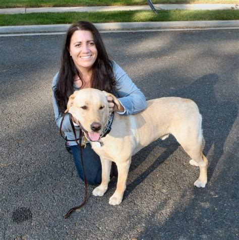 Long Island Dog Boarding Suffolk Nassau County Have Leash Will Train