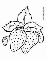 Strawberry Colouring Picolour sketch template