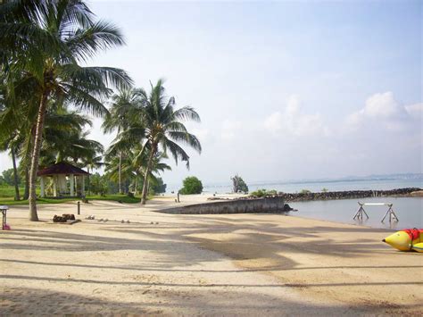 Maybe you would like to learn more about one of these? Pantai Sekilak Melihat Penangkaran Penyu di Kepulauan Riau ...