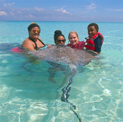 Stingray City And Snorkel Excursions In Grand Cayman Frozen In Cayman