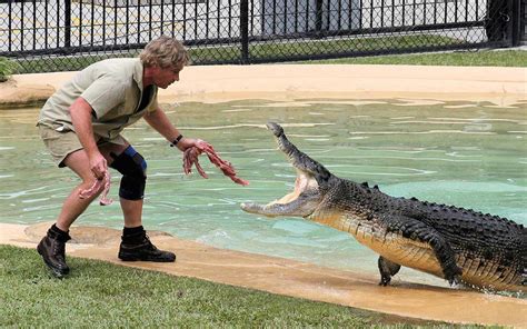 10 Wild Facts About ‘the Crocodile Hunter Steve Irwin