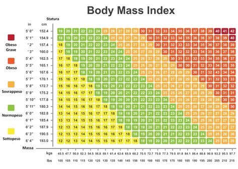 Lontano Coraggioso In Vacanza Calcolo Body Mass Index Formula Unico