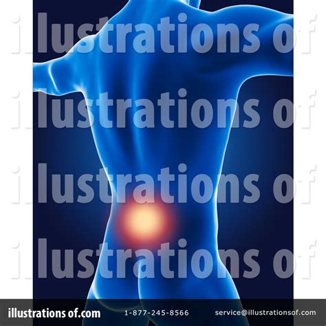 Anatomy Clipart 1173200 Illustration By Kj Pargeter