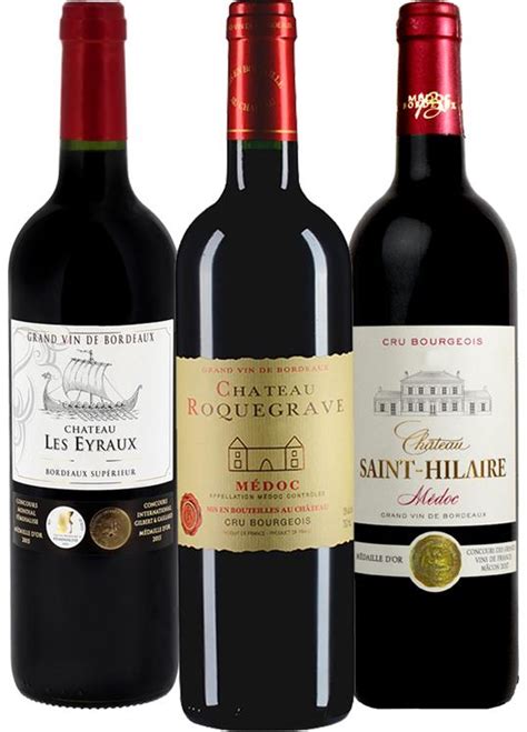 Fifa 21 the best xxiii for the france. Premium Bordeaux Selection (France) | Buy NZ wine online ...