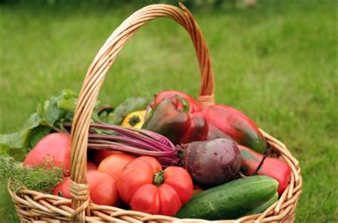 When planning for a garden, a key thing to consider is whether you want to start your garden from seeds or from young plants (transplants. Vegetable Gardening in Austin, Texas | LoveToKnow