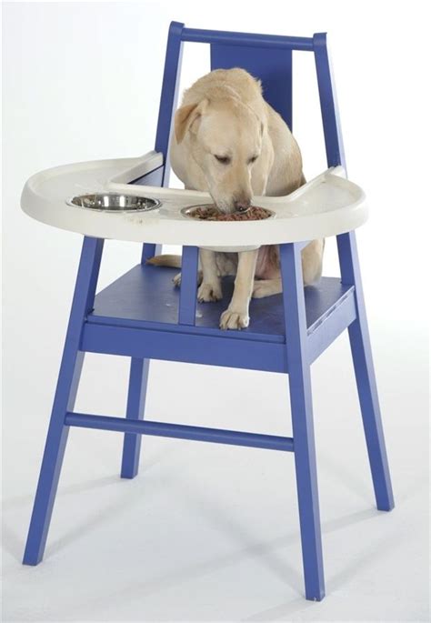 Check out our dog high chair selection for the very best in unique or custom, handmade pieces from our kids' furniture shops. New Ikea product "Hundstol" | Best baby high chair, High ...