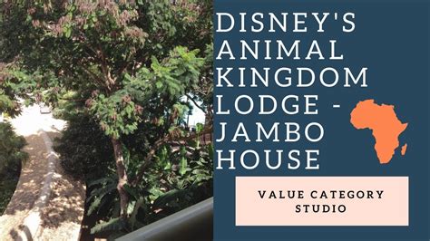 Disneys Animal Kingdom Lodge Jambo House Value Studio 5006 Youtube