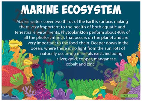 Terrestrial Ecosystems Poster