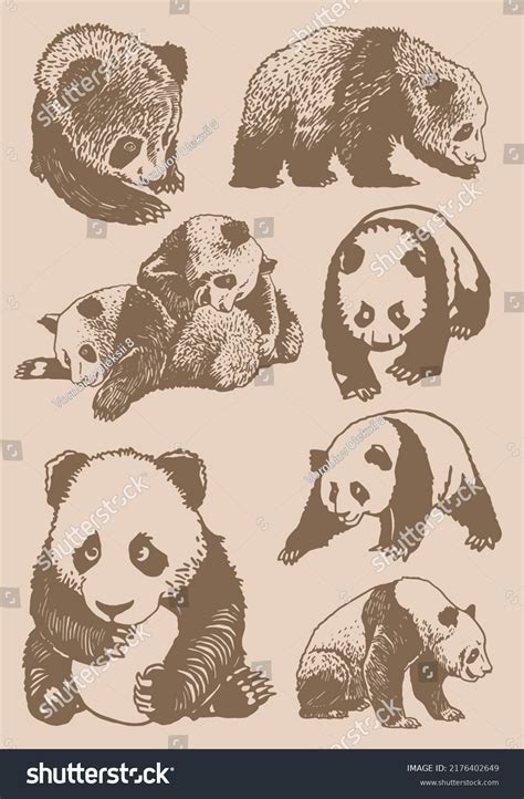 Graphical Vintage Set Adorable Pandas Vector Stock Vector Royalty Free