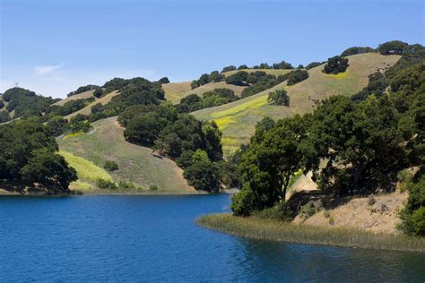 Water storage reservoir in contra costa. Briones Reservoir: more photos