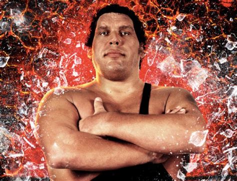 A description of tropes appearing in andré the giant. Andre The Giant Would've Turned 70 Today; We remember An ...