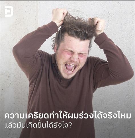 ยิ่งใช้ยิ่งได้ ทำความรู้จัก www.ยิ่งใช้ยิ่งได้.com ก่อนลงทะเบียน 21 มิ.ย.64 ความเครียดทำให้ผมร่วงได้จริงไหม แล้วมันเกิดขึ้นได้ยังไง?