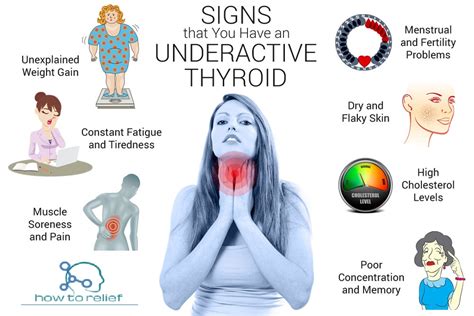 Underactive Thyroid Hypothyroidism Symptoms Causes Treatment How