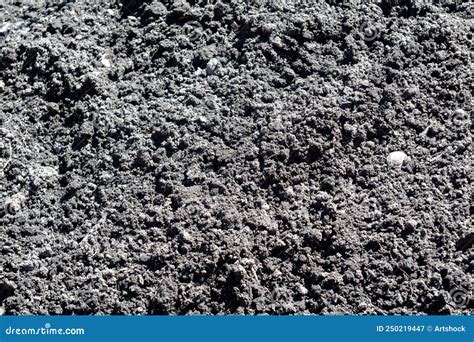 Black Soil Close Up Stock Image Image Of Plant Sand 250219447