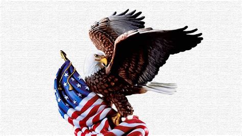 Patriotic Bald Eagle Wallpaper Images