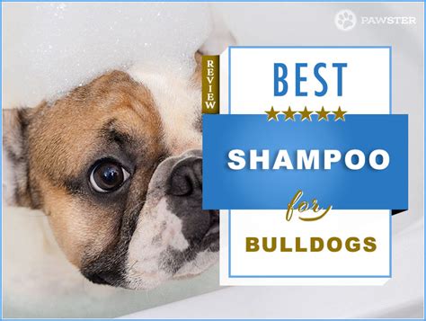 If you're bathing your bulldog at home, you will need a good shampoo, conditioner, and other grooming products. Bulldog Shampoo: 6 Best Shampoos For a Bulldog in 2019