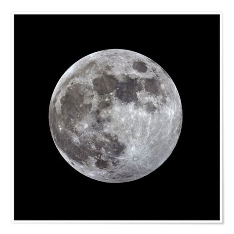 Последние твиты от ドイツ語教室 i vollmond (@vollmond_online). MonarchC Vollmond Poster online bestellen | Posterlounge.de