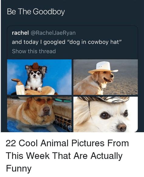 25 Best Memes About Cowboy And Funny Cowboy And Funny Memes