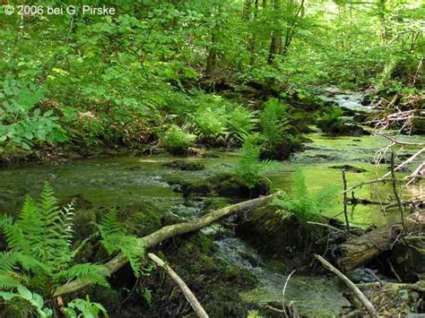 Is the eifel nature park part of high fens? Nationalpark Eifel