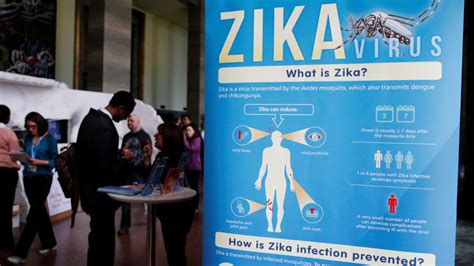 Cdc All Pregnant Women Should Be Tested For Zika