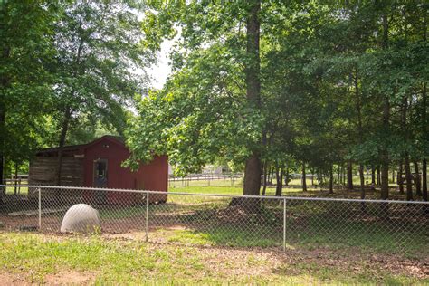 Homesteading In Georgia 5 Private Ac Cottage With Finished Basement