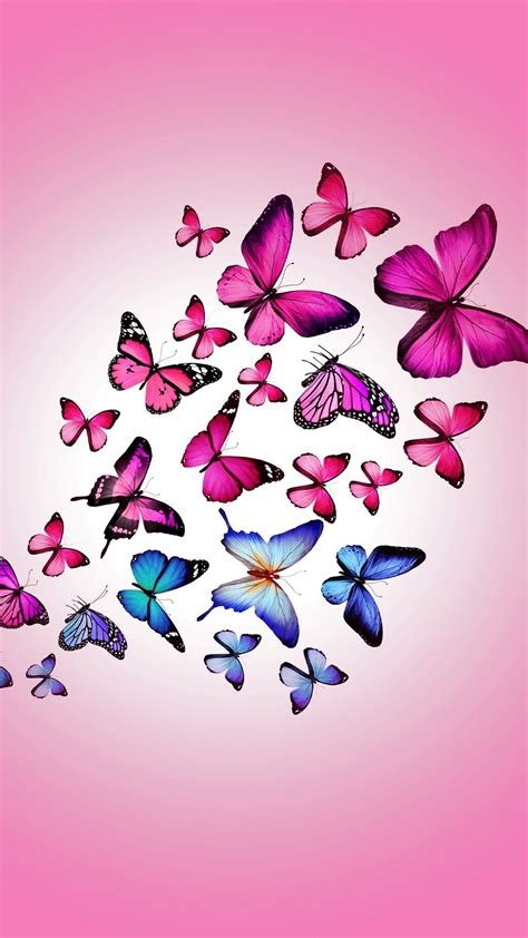 Pink Butterfly Phone Wallpapers Top Những Hình Ảnh Đẹp