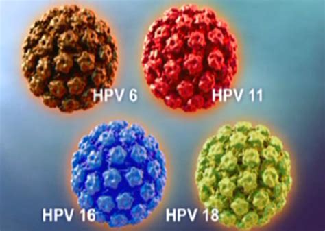 Hpv infection is a viral infection that commonly causes skin or mucous membrane growths (warts). L'HPV (Human Papilloma Virus) | Medical Care Center