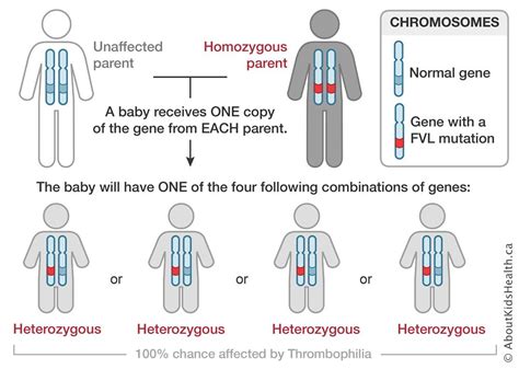 Factor V Leiden Mutation