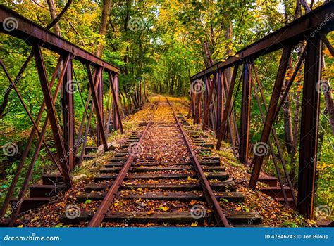 Railroad Tracks Covered In Autumn Leaves Near Stewartstown Pen Stock