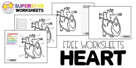 Heart Worksheets Superstar Worksheets