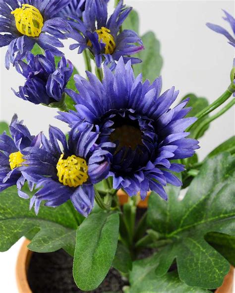 Check spelling or type a new query. 25cm Chrysanthemum Mums Silk Flower in Paper Pulp pot ...