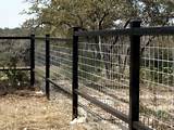 Photos of Wood Fencing With Metal Posts