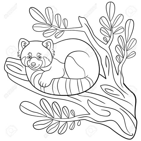 Red Panda Drawing Coloring Pages
