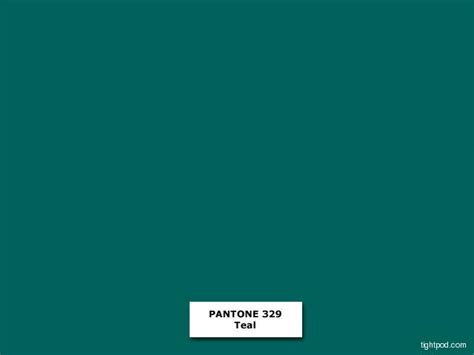 The common teal has a stripe around its eyes which reaches to the top of its head, this stripe is referred to as the color teal. TightJacket