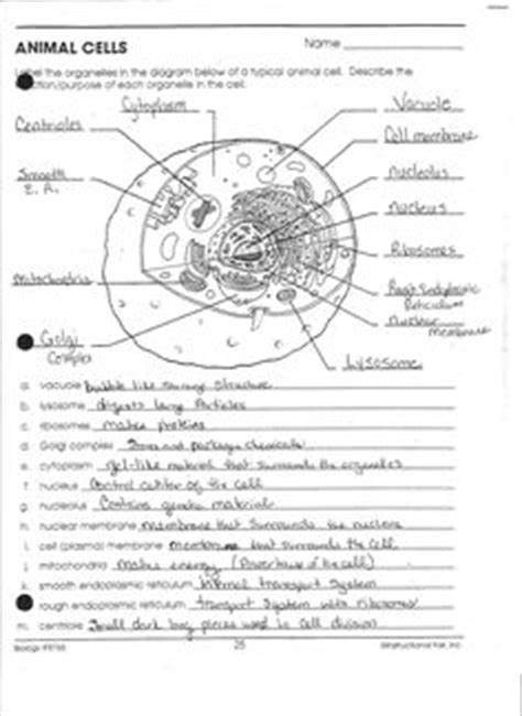 Maybe you would like to learn more about one of these? Microscope Parts - Quiz {Editable} | Histology workbook ...