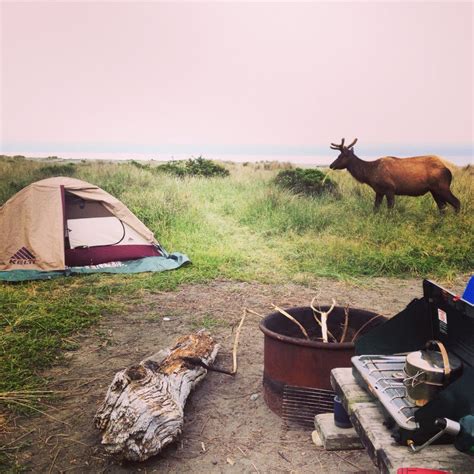 The complete guide to more than 1,400 tent and rv campgrounds (travel guide). Gold bluffs beach campground. California :) Best camping ...