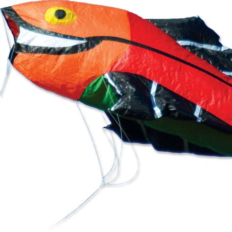 Large Flying Fish Kite Rainbow Premier Kites And Designs Kite Kite